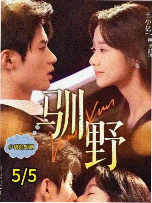 千灯照夜 古装权谋剧封面